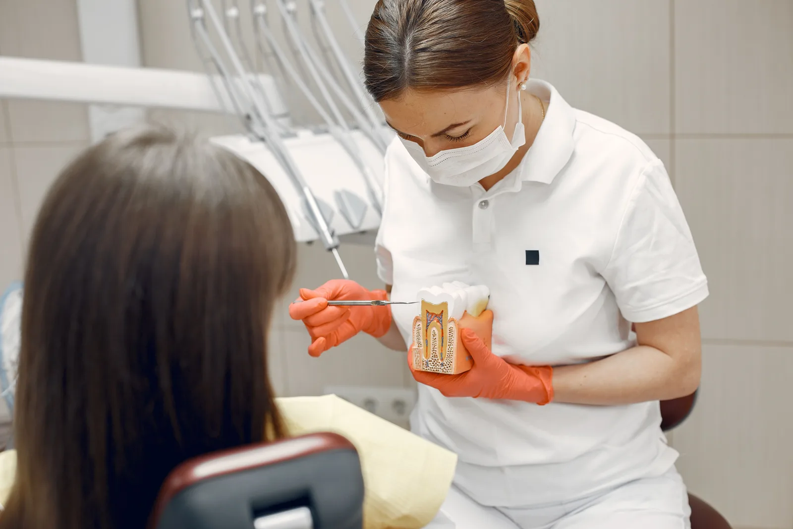 Dentist explaining a tooth model to a patient, referred to in the Sinus Lift Surgery section for Virginia Beach