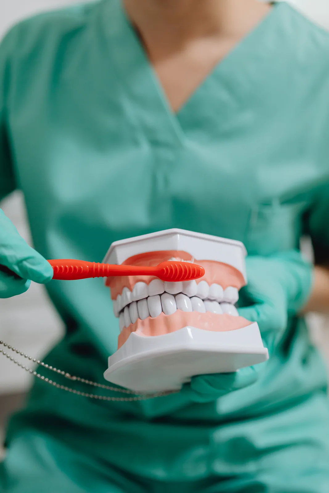 Hygiene demonstration on a dental model, referred to in the Dentures Vs Implants section for Virginia Beach